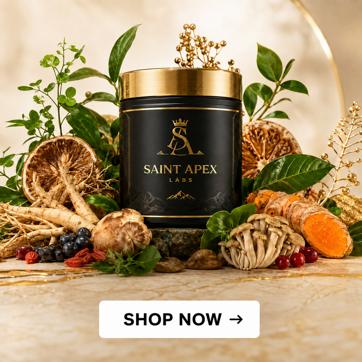 Saint Apex Labs General Wellness: golden wellness banner with fitness icons, meditating figure, healthy foods.