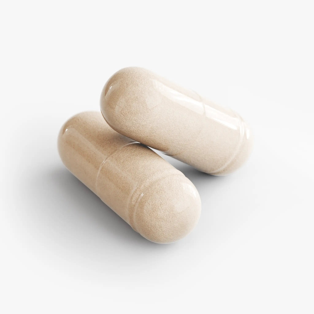 GLP1 Digestive Support With Magnesium PRO-B Enzymes Ginger Peppermint by Supliful