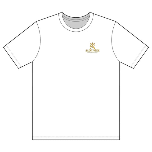Black Garment Dyed Relaxed Fit Cotton T Shirt With Gold Chest Logo by Printify